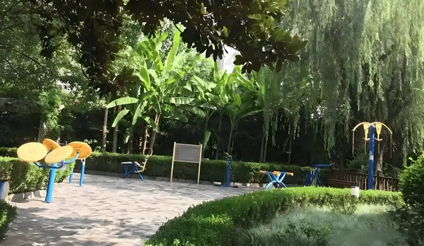 深圳入户条件是_不会唱歌却开演唱会，58岁的郑伊健消费情怀？ 标先提质带动进、开演唱会